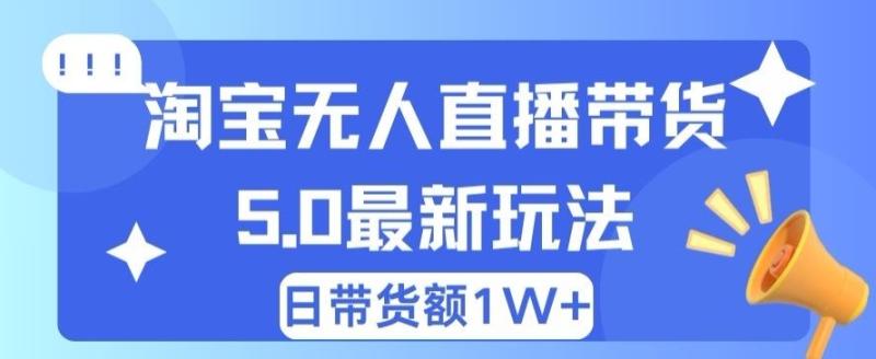 蓝海项目 淘宝无人直播冷门赛道 日赚500+无脑躺赚 小白有手就行-副业网