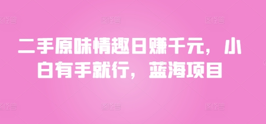 二手原味情趣日赚千元，小白有手就行，蓝海项目-副业网