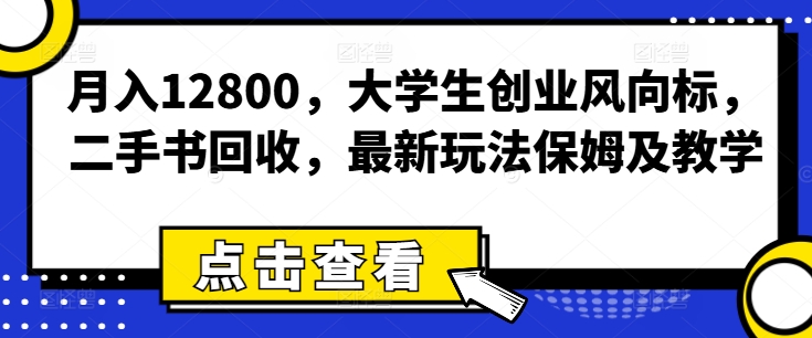 月入12800，大学生创业风向标，二手书回收，最新玩法保姆及教学-副业网