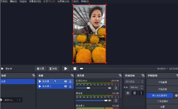 图片[2]-2024最新拼多多无人直播教程，转化率更高，低门槛，轻松实现每日1000+的收入-副业网