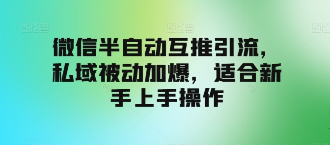 微信半自动互推引流，私域被动加爆，适合新手上手操作-副业网