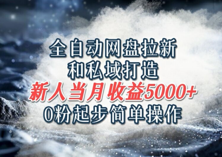 全自动网盘拉新和私域打造，0粉起步简单操作，新人入门当月收益5000以上-副业网