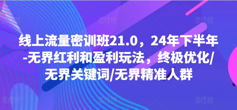 线上流量密训班21.0，24年下半年-无界红利和盈利玩法，终极优化/无界关键词/无界精准人群-副业网