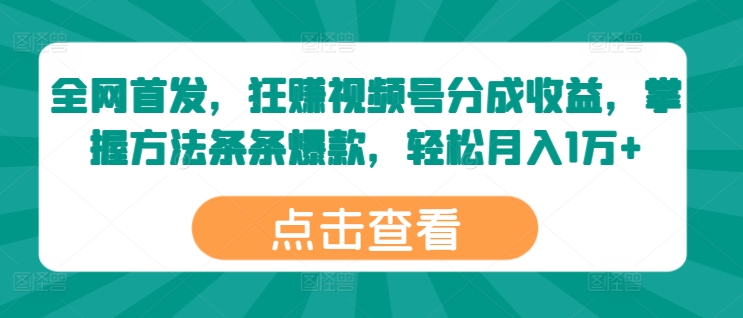 全网首发，狂赚视频号分成收益，掌握方法条条爆款，轻松月入1万+-副业网