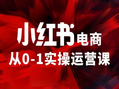 小红书电商从0-1实操运营课，让你从小白到精英-副业网