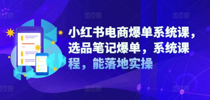 小红书电商爆单系统课，选品笔记爆单，系统课程，能落地实操-副业网