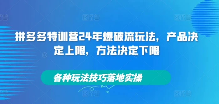 拼多多特训营24年爆破流玩法，产品决定上限，方法决定下限，各种玩法技巧落地实操-副业网