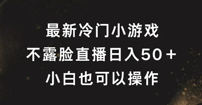最新冷门游戏不露脸直播，轻松日入50+，小白也可操作-副业网