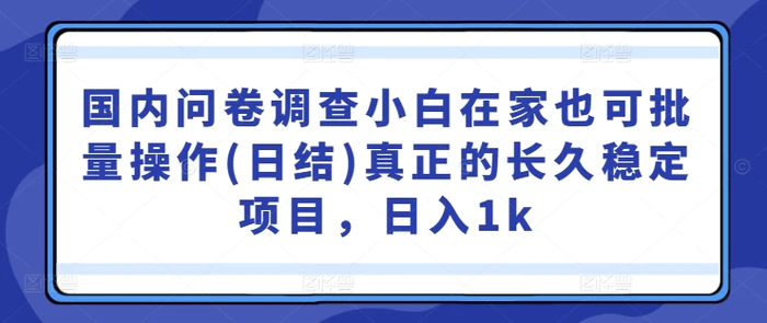 国内问卷调查小白在家也可批量操作(日结)真正的长久稳定项目，日入1k【揭秘】-副业网