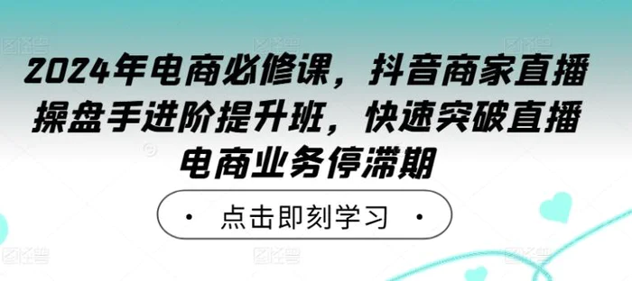 2024年电商必修课，抖音商家直播操盘手进阶提升班，快速突破直播电商业务停滞期-副业网
