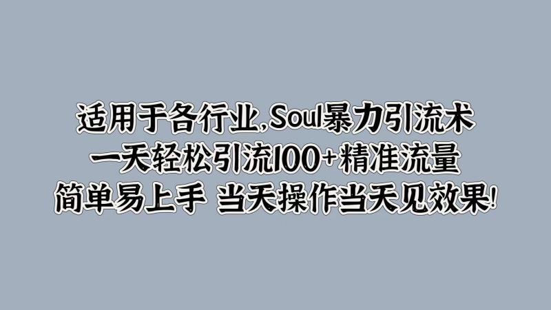 Soul暴力引流术，一天轻松引流100+精准流量，简单易上手 当天操作当天见效果!-副业网