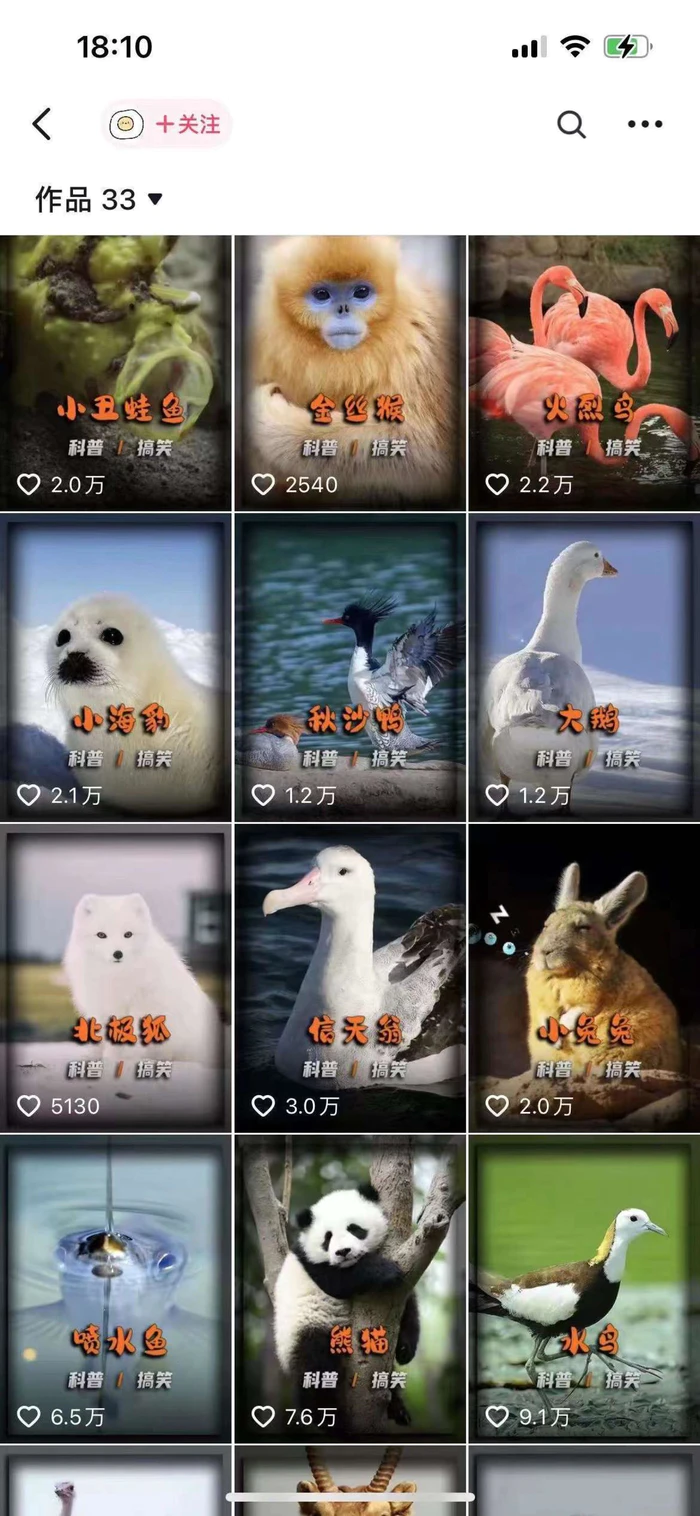 图片[2]-动物科普解说项目，撸创作者伙伴计划收益，保姆级实战教程-副业网