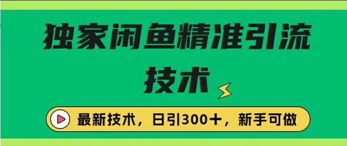 闭鱼精准引流，日引300+创业粉保姆级教程，新手可做-副业网