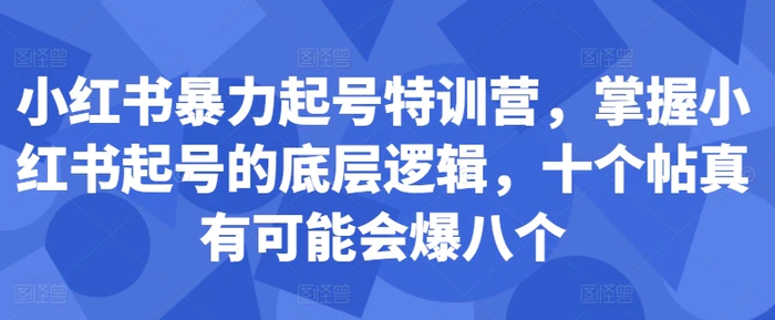 小红书暴力起号特训营，掌握小红书起号的底层逻辑，十个帖真有可能会爆八个-副业网