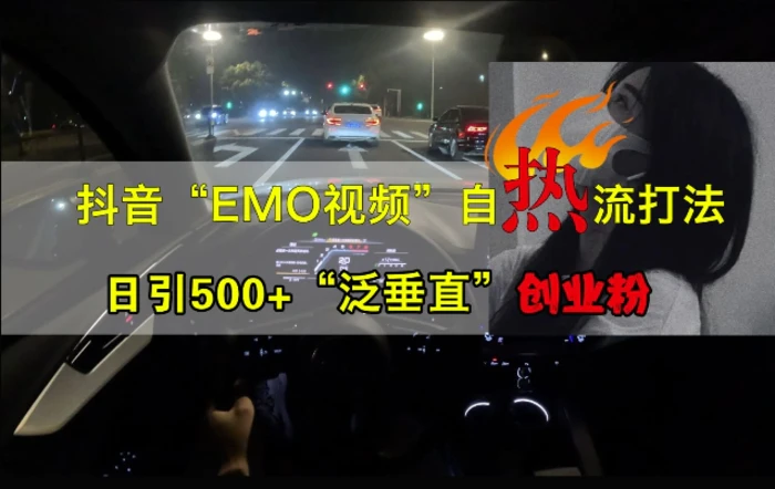 抖音EMO视频自热打法，日引500+“泛垂直”创业粉-副业网