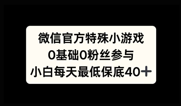 微信官方特定小游戏，0基础0粉丝，小白上手每天最少保底40+-副业网