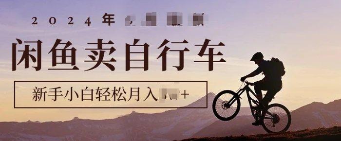 骑行圈的秘密之我在闲鱼卖自行车，项目门槛低，0成本就可以操作-副业网