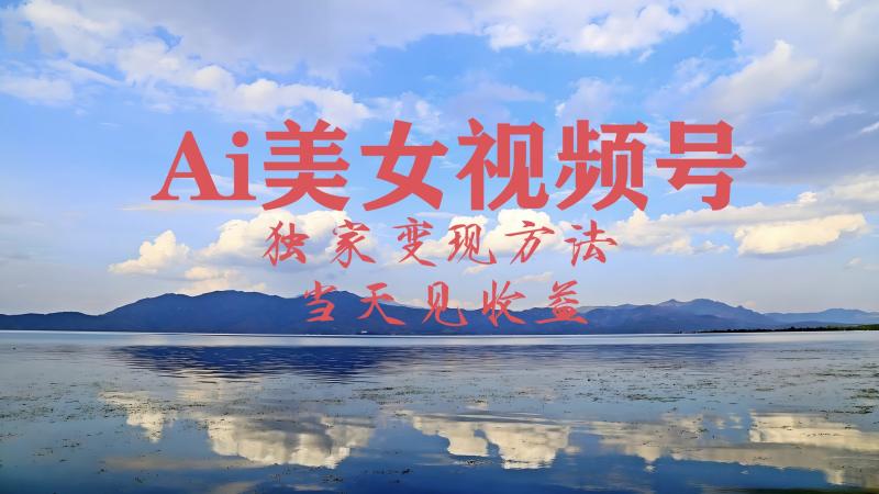 2024最新视频号AI美女跳舞视频玩法，当天见收益-副业网