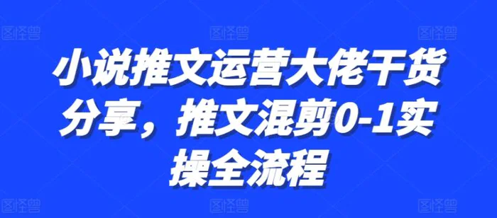 小说推文运营大佬干货分享，推文混剪0-1实操全流程-副业网