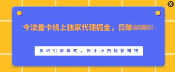 流量卡线上独家代理掘金，日入1k+ ，多种引流模式，新手小白轻松上手【揭秘】-副业网