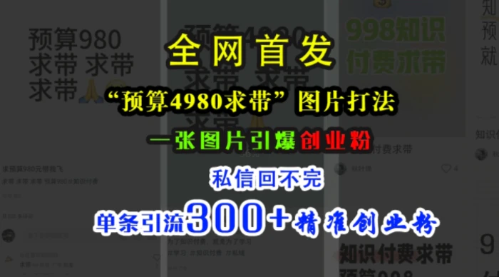 小红书“预算4980带我飞”图片打法，一张图片引爆创业粉，私信回不完，单条引流300+精准创业粉-副业网
