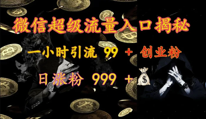 微信超级流量入口揭秘：一小时引流 99 + 创业粉，日涨粉 999 +-副业网