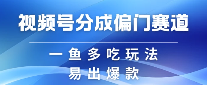 视频号创作者分成计划偏门类目，容易爆流，实拍内容简单易做【揭秘】-副业网
