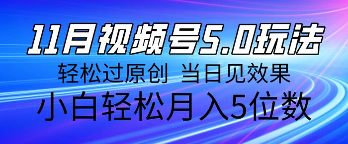 11月最新视频号5.0玩法，轻松过原创，当日见效果，小白轻松月入5位数-副业网