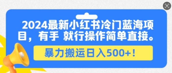 2024最新小红书冷门蓝海项目，有手就行操作简单直接，暴力搬运日入500+-副业网