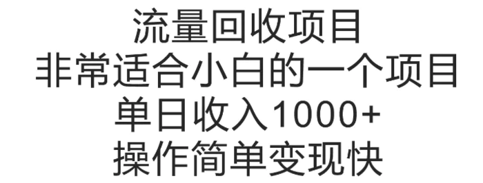 流量回收项目，非常适合小白的一个项目单日收入多张，操作简单变现快-副业网