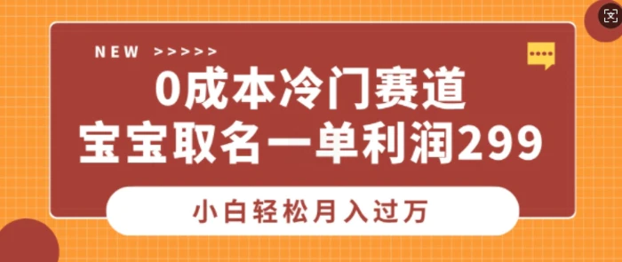 0成本冷门赛道，宝宝取名一单利润299，小白轻松月入过万-副业网