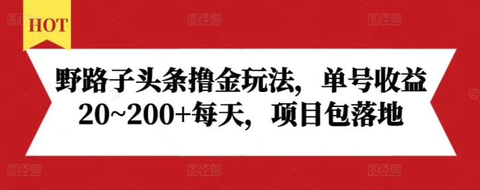 野路子头条撸金玩法，单号收益20~200+每天，项目包落地-副业网