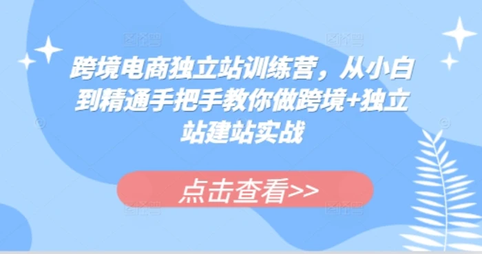 跨境电商独立站训练营，从小白到精通手把手教你做跨境+独立站建站实战-副业网