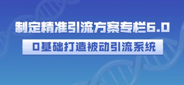 制定精准引流方案专栏6.0，0基础打造被动引流系统-副业网