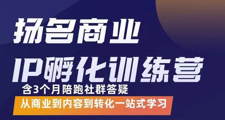 杨名商业IP孵化训练营，从商业到内容到转化一站式学 价值5980元-副业网