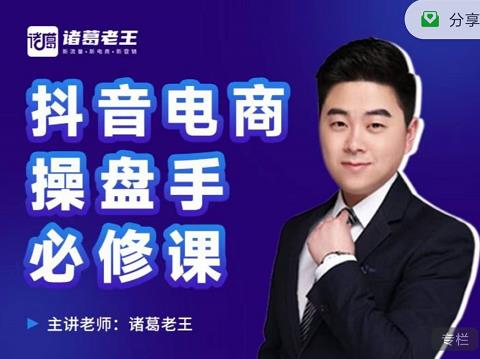 诸葛老王-抖音电商操盘手必修课：顶层设计，​起号破局，爆款运营，数据分析-副业网