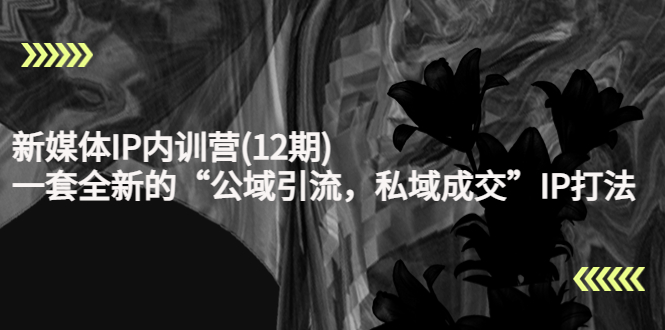 新媒体IP内训营(12期)，一套全新的“公域引流，私域成交”IP打法，直接带走-副业网