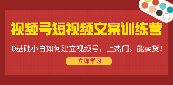 视频号短视频文案训练营：0基础小白如何建立视频号，上热门，能卖货！-副业网