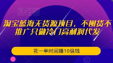 淘宝蓝海无货源项目，不囤货不推广只做冷门高利润代发，花一半时间赚10倍钱-副业网