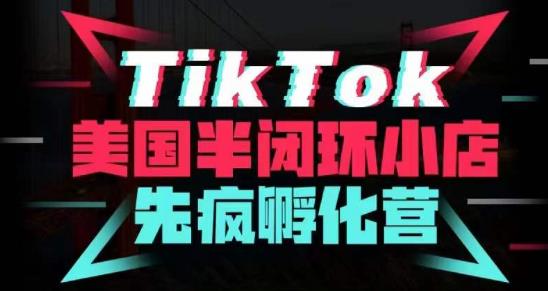 疯人院·TikTok美国半闭环小店孵化营，抢占TikTok美国蓝海市场，开店、运营、带货、投流全实操-副业网