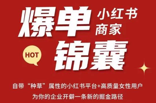 无畏·小红书商家爆单锦囊，掌握小红书各大规则，快速精准抢占行业和市场-副业网