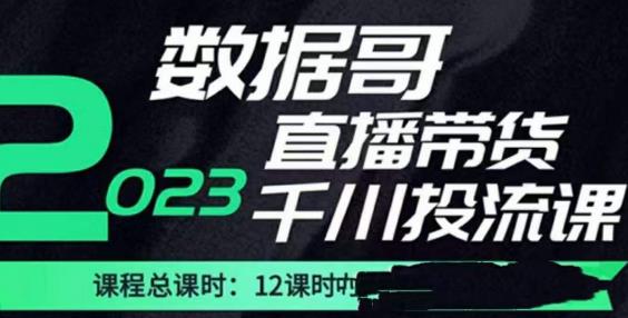 数据哥2023直播电商巨量千川付费投流实操课，快速掌握直播带货运营投放策略-副业网
