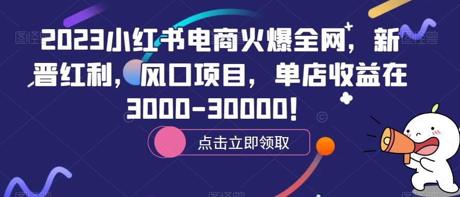 2023小红书电商火爆全网，新晋红利，风口项目，单店收益在3000-30000！-副业网