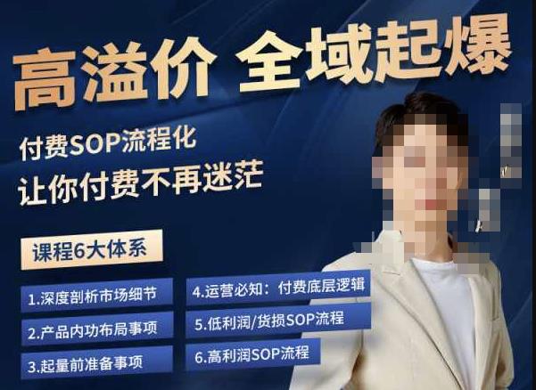 逸风-拼多多高溢价全域起爆，6大课程体系，付费玩法全套实操-副业网