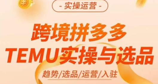 伍跃·跨境拼多多TEMU实操与选品，​趋势/选品/运营/入住（27节完整）-副业网