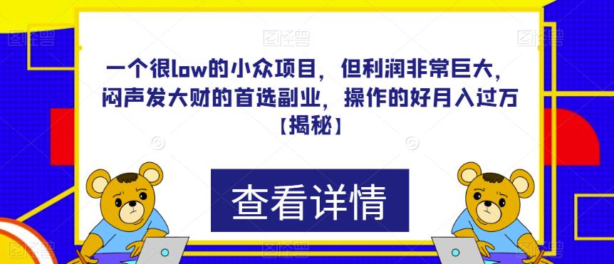 一个很low的小众项目，但利润非常巨大，闷声发大财的首选副业，操作的好月入过万【揭秘】-副业网