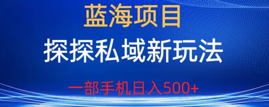 蓝海项目，探探私域新玩法，一部手机日入500+很轻松【揭秘】-副业网