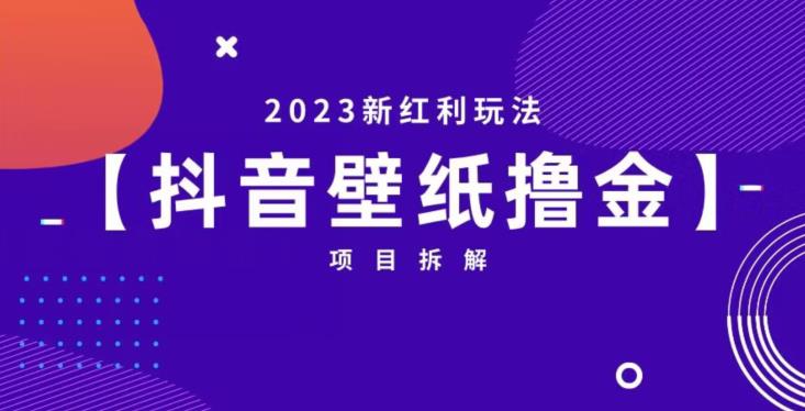 抖音壁纸小程序创作者撸金项目，2023新红利玩法【项目拆解】-副业网