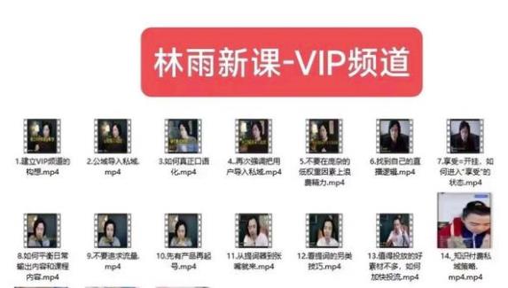 林雨新课VIP频道，玩赚私域/朋友圈/社群-副业网