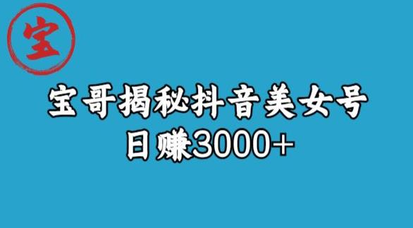 宝哥揭秘抖音美女号玩法，日赚3000+【揭秘】-副业网